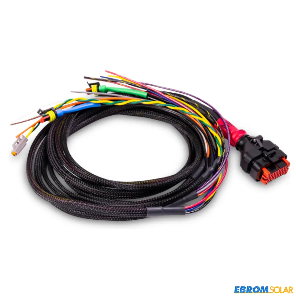 WS500 Kabelbaum Typ N