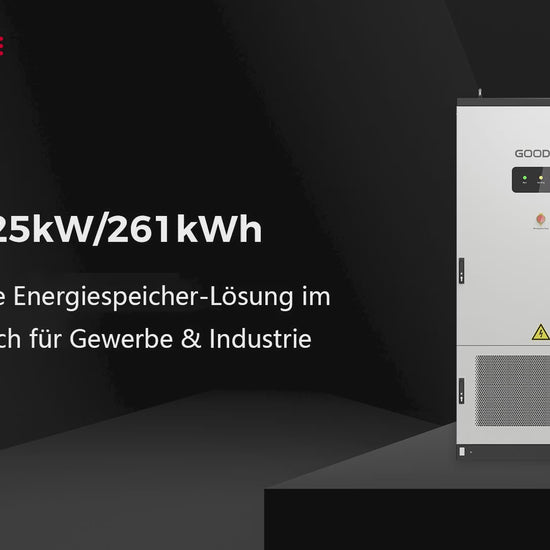 GoodWe ESA 125/261