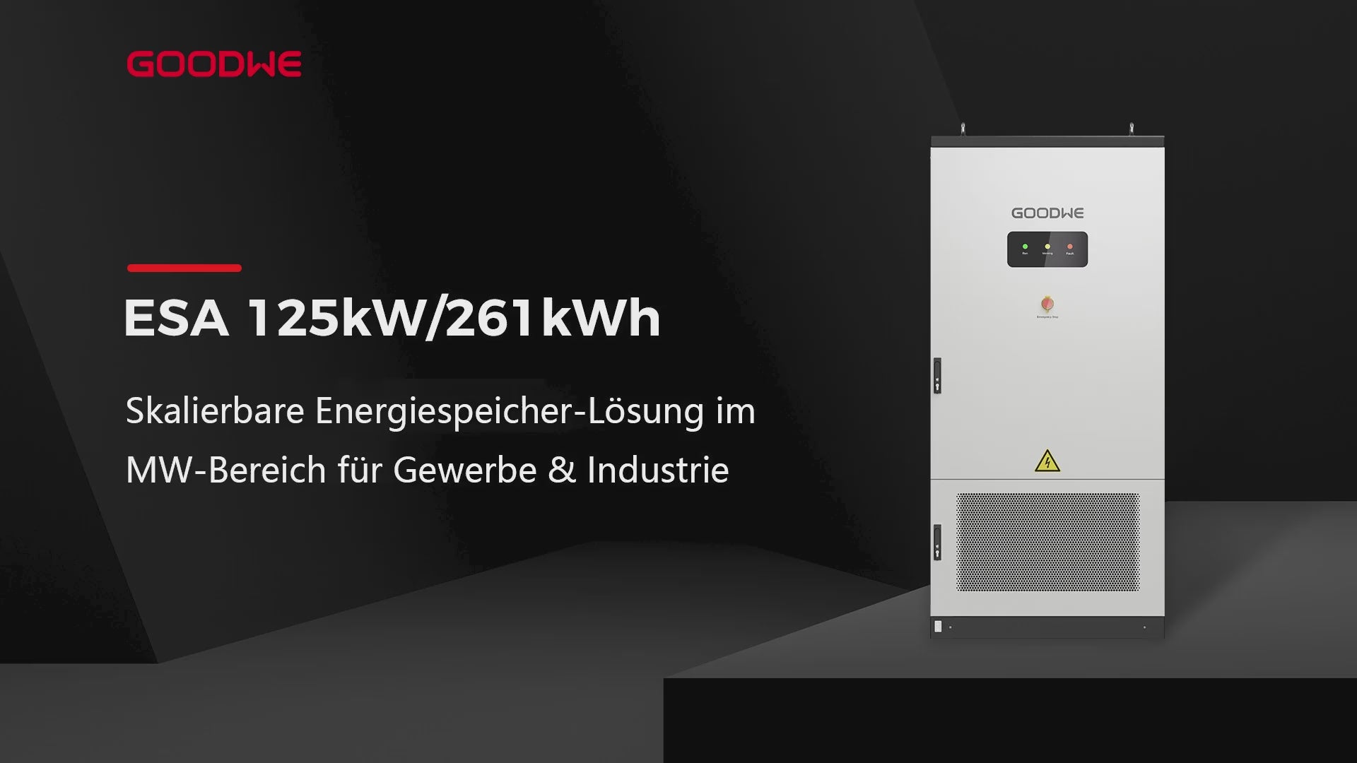 GoodWe ESA 125/261